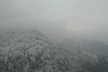 Aerial view of a frozen forest with snow covered trees at winter.