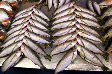 Obraz premium fish market of Manaus - Amazonas, Brazil