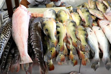fish market of Manaus - Amazonas, Brazil