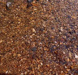 small brown stone and gravel under water at shallow river