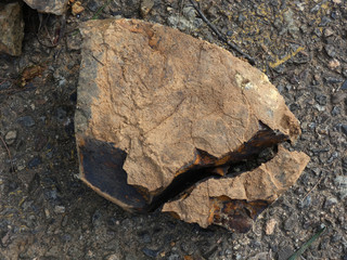 Roccia