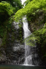 Obraz na płótnie Canvas 日本の滝