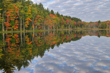 Autumn, Council Lake and reflections of trees and cloudy sky, Hiawatha National Forest, Michigan's...
