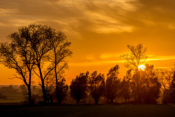 Naklejka premium landschap