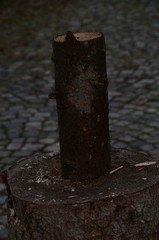 Brennholz mit der Axt spalten