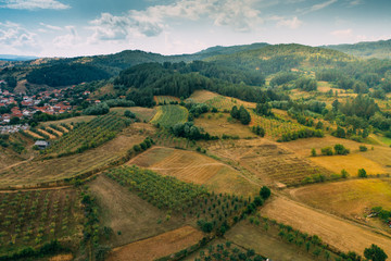 Fototapeta na wymiar Aerial top view over a pine tree forest close to a small village. Forest landscape in late summer at sunset.