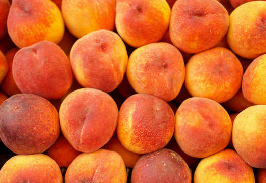 lots of ripe orange peaches