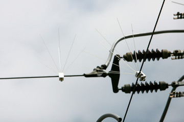 Fototapeta na wymiar Vogelschutz an Stromleitungen