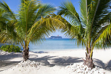 Grand Cayman Seven Mile Beach Palm Trees