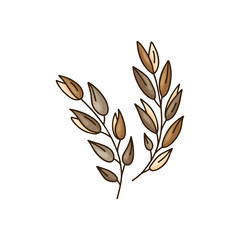 Fototapeta na wymiar Cartoon sprigs of oats. Hand drawn vector icon. Color rustic illustration for logo, print, poster and packaging design. Isolated doodle image of wheat ears on white background