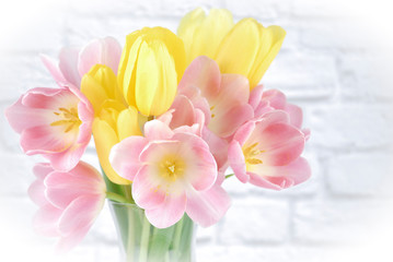Pink and yellow tulips arranged in a clear vase isolated on a white brick background