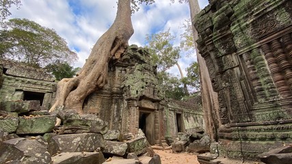 ta prohm temple in angkor cambodia