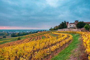 Autumn sunset in the vineyards of Collio Friulano