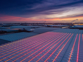 aerial view of modern agricultural greenhouses in the Netherlands that uses LED lights to support the growth of the plants; Westland, Netherlands