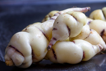MASHUA 'White' (Tropaeolum tuberosum)Mashua is a tuber crop native to the Andes, where it was developed alongside the similar tuber crops potato, oca, and ulluco.