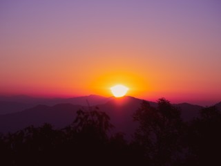 First Sunlight at the Binsar Wildlife Sanctuary. The Home of the 