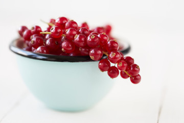 Bowl of freshly picked redcurrants