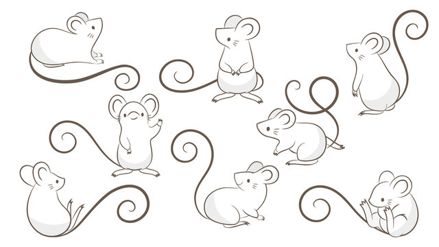 Set of hand drawn rats, mouse in different poses on white background.  Vector illustration, cartoon doodle style. Stock Vector | Adobe Stock