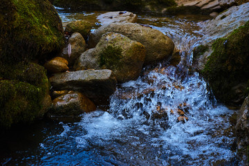 Clean mountain river in the autumn forest.