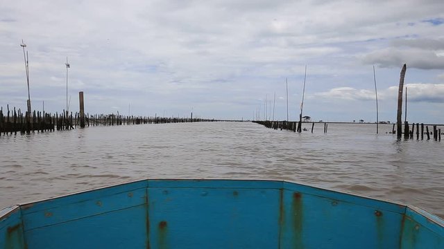 Mussel farm view from local boat in Khlong Khon, Samut Songkhram Province,Thailand