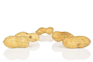 Group of six whole tasty beige peanut isolated on white background