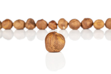 Lot of whole tasty brown hazelnut one in focus isolated on white background
