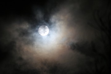 Fototapeta na wymiar lune