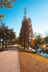 crosswalk at park in autumn 