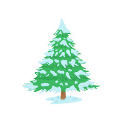 Snow covered spruce