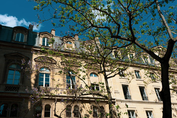 old street in paris france