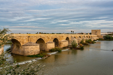 Roman bridge with Calahorra Tower in Cordoba, Andalusia, Spain