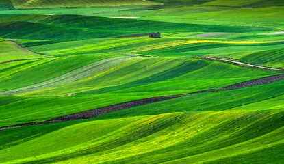 Fototapete Grün Apulien-Landschaftsansicht rollende Hügellandschaft und ruiniertes Haus. Poggiorsini, Italien