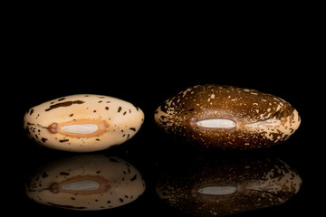 Group of two whole speckled brown bean pinto isolated on black glass