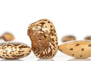 Group of three whole dried speckled brown bean pinto isolated on white background