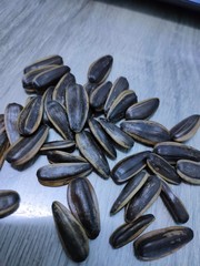 sunflower seeds on white background