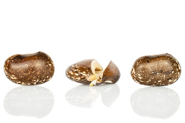 Group of two whole two halves of speckled brown bean pinto isolated on white background