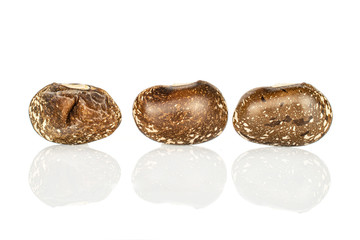 Group of three whole speckled brown bean pinto isolated on white background