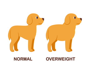 Normal and fat dog illustration