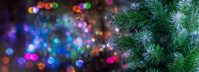 Fototapeta na wymiar Fir tree and many christmas bokeh lights on the background.