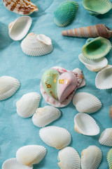 Luxury chocolate candy close-up, sweet food