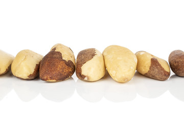 Group of seven whole brazil brown nut isolated on white background