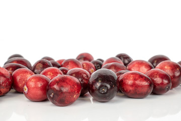 Lot of whole fresh red cranberry heap isolated on white background