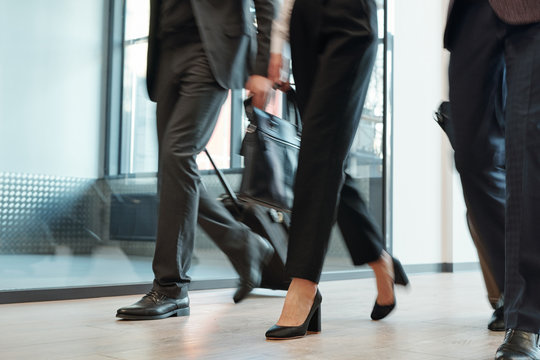 Legs of elegant business travelers in formalwear pulling their baggage