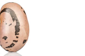 One whole fresh speckled bean pinto closeup isolated on white background