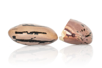 Group of one whole one half of fresh speckled bean pinto isolated on white background