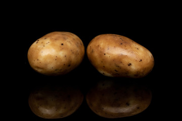 Group of two whole tiramisu brown almond nut isolated on black glass
