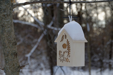 Winter Birdhouse in the Woods