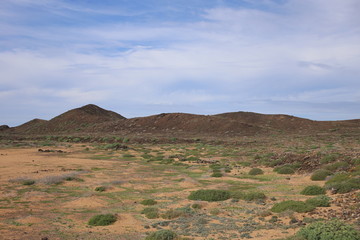 Île de Los Lobos (Les Canaries)	