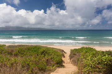 Fototapeta na wymiar A path to the beach from the Kapalua coastal trail