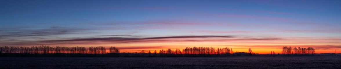 Large panorama of  Beautiful dawn frosty morning over the field and birches in the distance